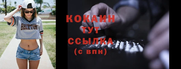 дмт Абаза