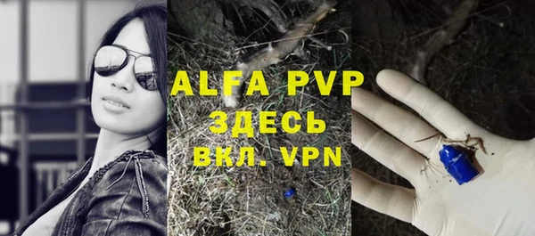 дмт Абаза