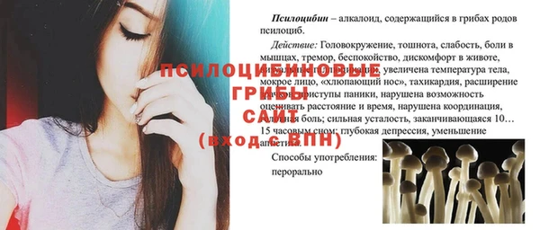 дмт Абаза