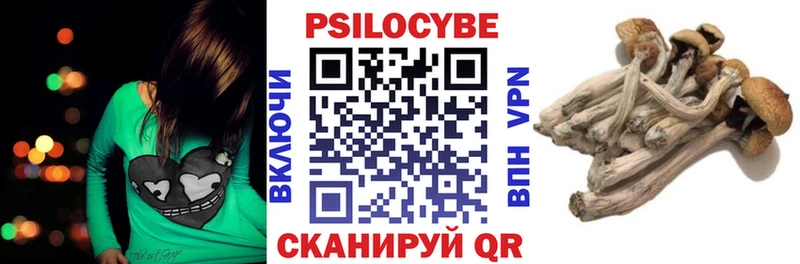 продажа наркотиков  Жердевка  Псилоцибиновые грибы Magic Shrooms 